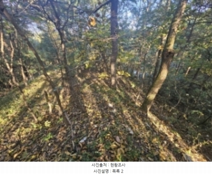 2024타경7351 충청북도 제천시 신월동 1115-15 임야 경매 이미지