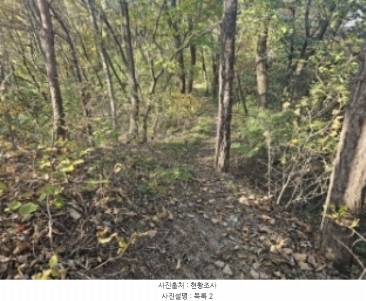 2024타경7351 충청북도 제천시 신월동 1115-15 임야 경매 이미지