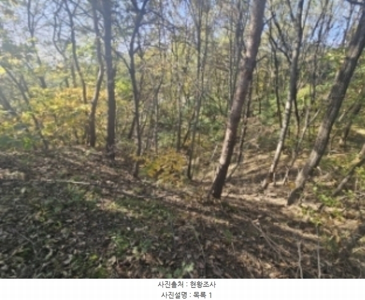 2024타경7351 충청북도 제천시 신월동 1115-15 임야 경매 이미지
