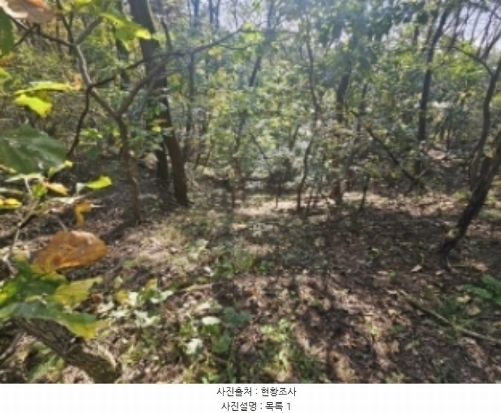 2024타경7351 충청북도 제천시 신월동 1115-15 임야 경매 이미지