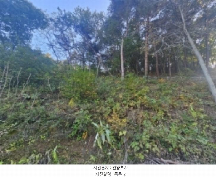 2024타경7351 충청북도 제천시 신월동 1115-15 임야 경매 이미지