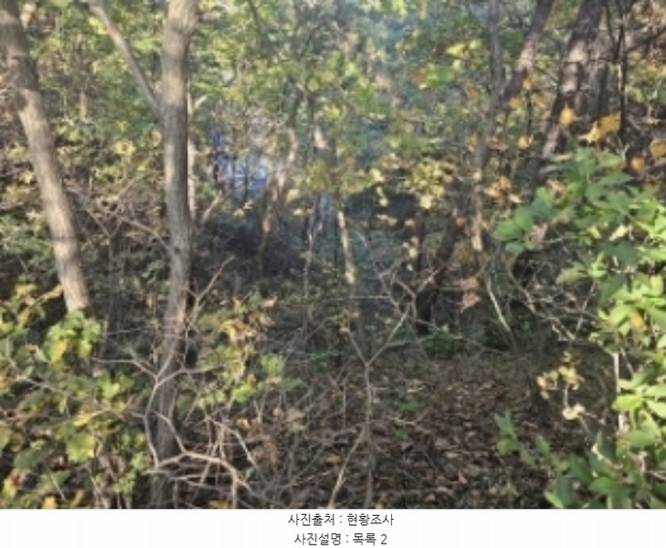 2024타경7351 충청북도 제천시 신월동 1115-15 임야 경매 이미지