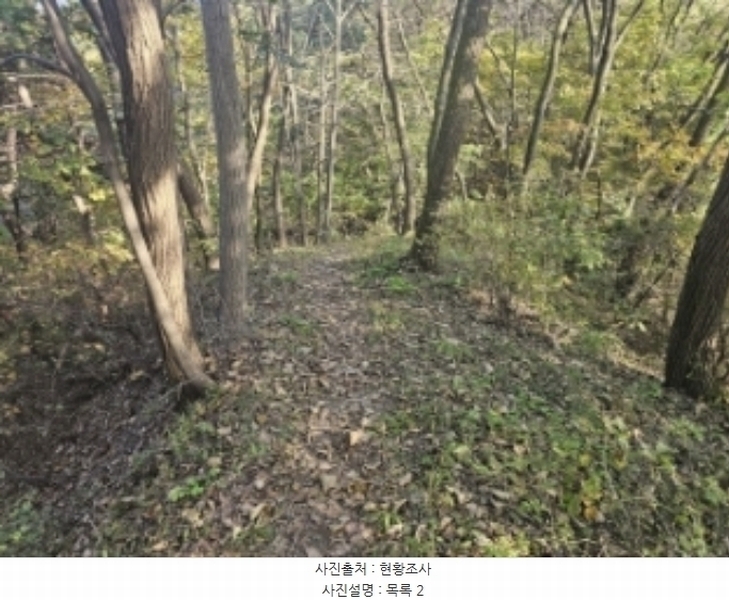 2024타경7351 충청북도 제천시 신월동 1115-15 임야 경매 이미지