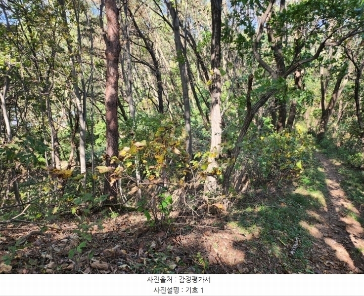 2024타경7351 충청북도 제천시 신월동 1115-15 임야 경매 이미지