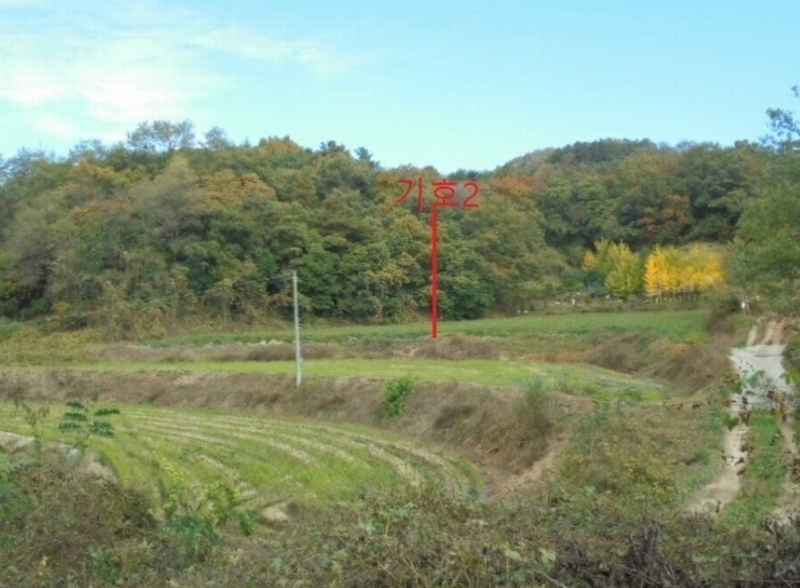 2024타경7474 충청북도 제천시 산곡동 47 농지 경매 이미지