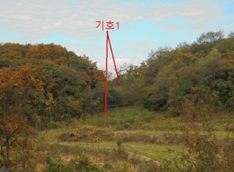 2024타경7474 충청북도 제천시 산곡동 47 농지 경매 이미지