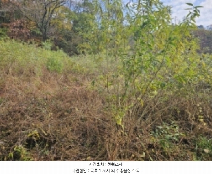2024타경7474 충청북도 제천시 산곡동 47 농지 경매 이미지