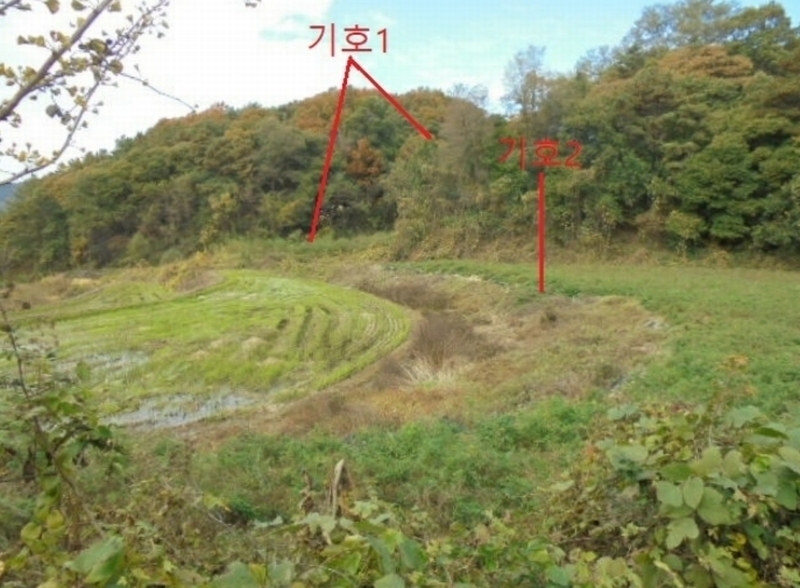 2024타경7474 충청북도 제천시 산곡동 47 농지 경매 이미지