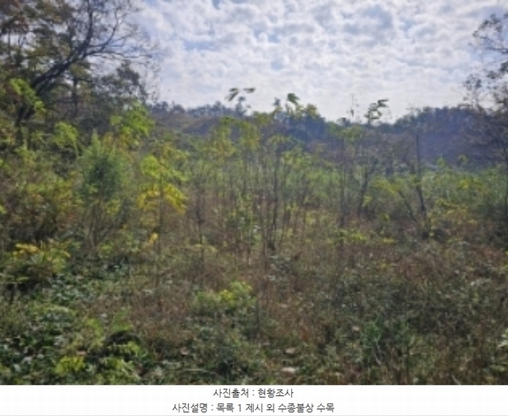 2024타경7474 충청북도 제천시 산곡동 47 농지 경매 이미지