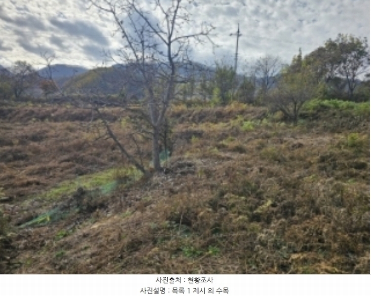 2024타경7535 충청북도 단양군 적성면 상리 358-3 농지 경매 이미지
