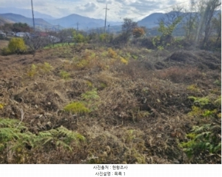 2024타경7535 충청북도 단양군 적성면 상리 358-3 농지 경매 이미지