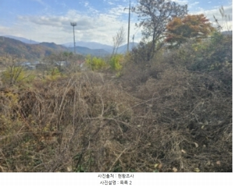 2024타경7535 충청북도 단양군 적성면 상리 358-3 농지 경매 이미지