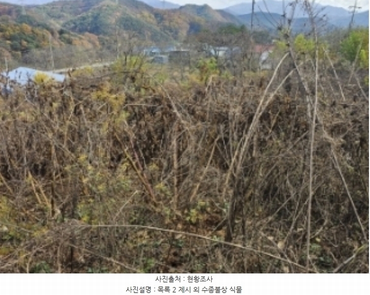 2024타경7535 충청북도 단양군 적성면 상리 358-3 농지 경매 이미지
