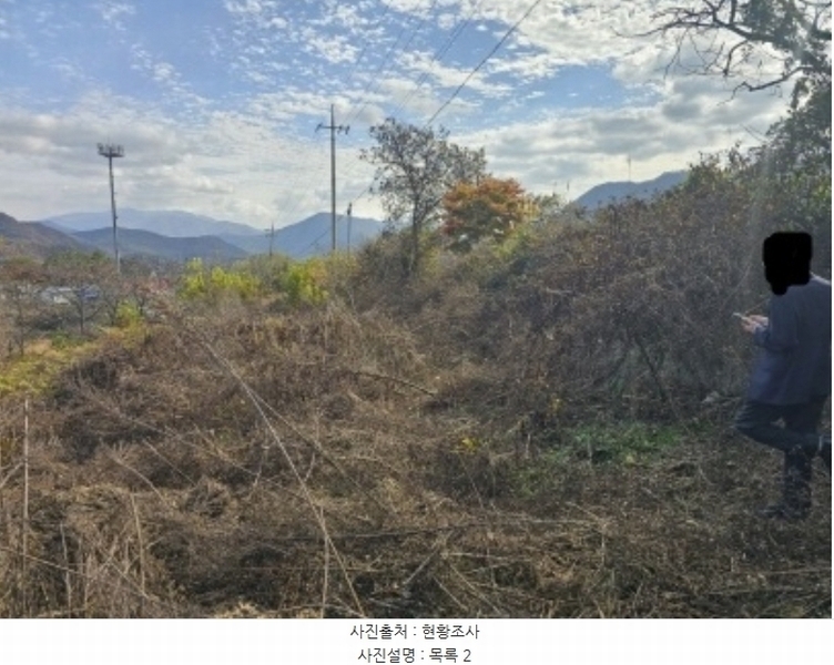 2024타경7535 충청북도 단양군 적성면 상리 358-3 농지 경매 이미지