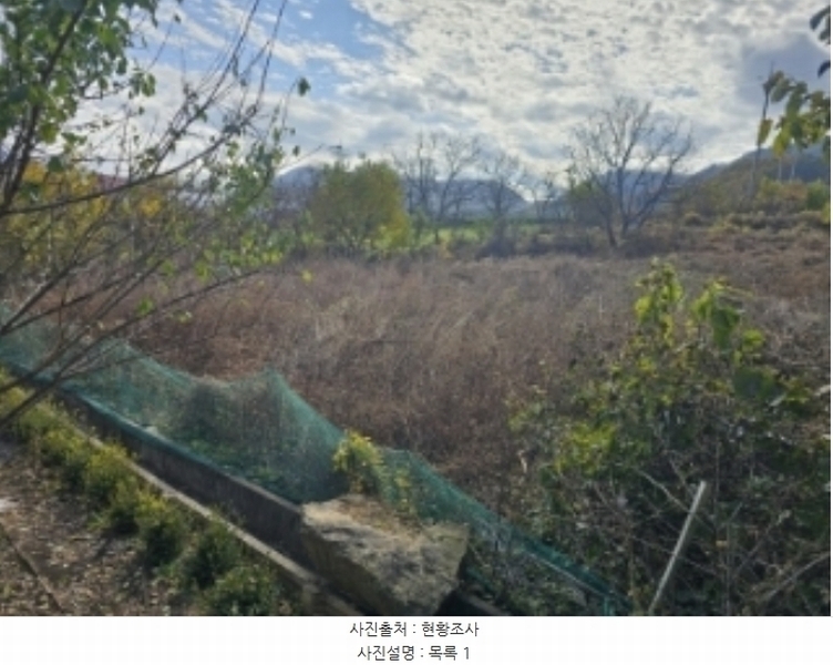2024타경7535 충청북도 단양군 적성면 상리 358-3 농지 경매 이미지