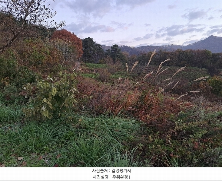 2024타경7535 충청북도 단양군 적성면 상리 358-3 농지 경매 이미지