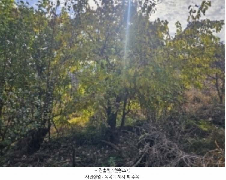2024타경7535 충청북도 단양군 적성면 상리 358-3 농지 경매 이미지