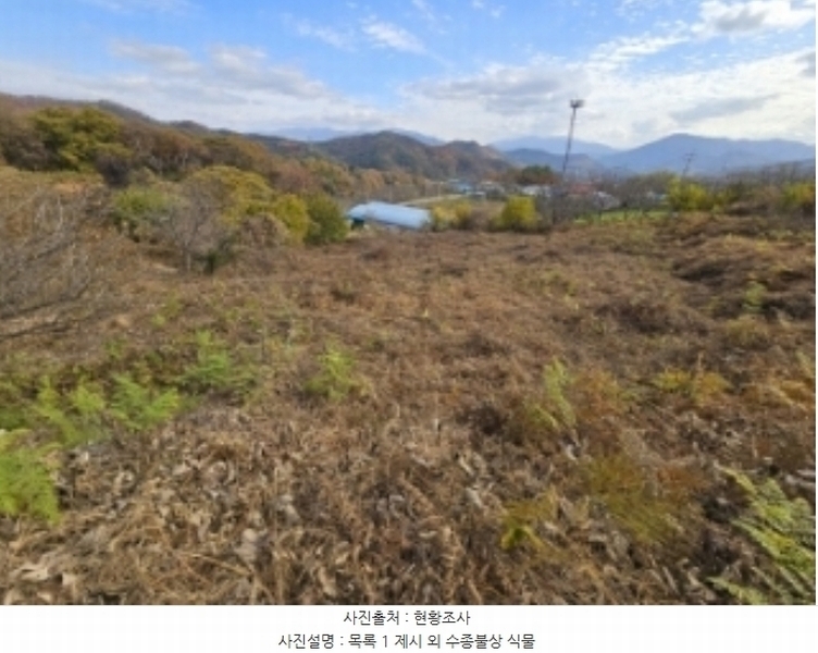 2024타경7535 충청북도 단양군 적성면 상리 358-3 농지 경매 이미지