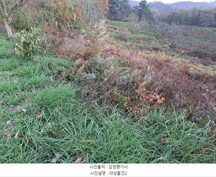 2024타경7535 충청북도 단양군 적성면 상리 358-3 농지 경매 이미지