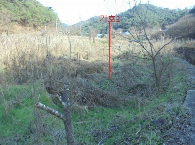 2024타경7610 충청북도 제천시 수산면 수곡리 1157 농지 경매 이미지