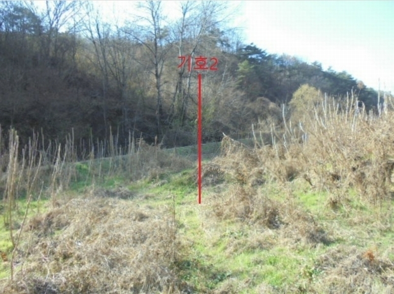 2024타경7610 충청북도 제천시 수산면 수곡리 1157 농지 경매 이미지