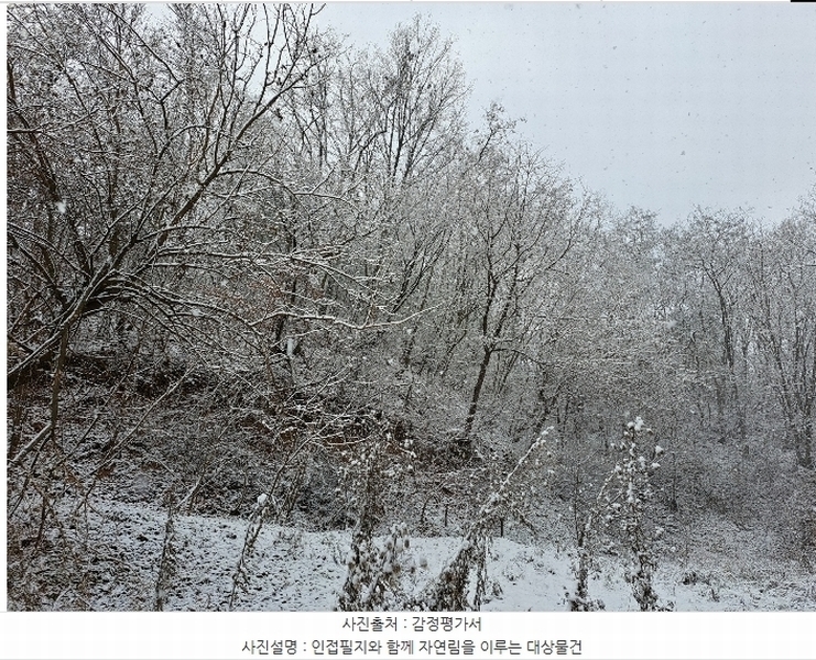 2024타경7634 충청북도 제천시 흑석동 275-37 임야 경매 이미지