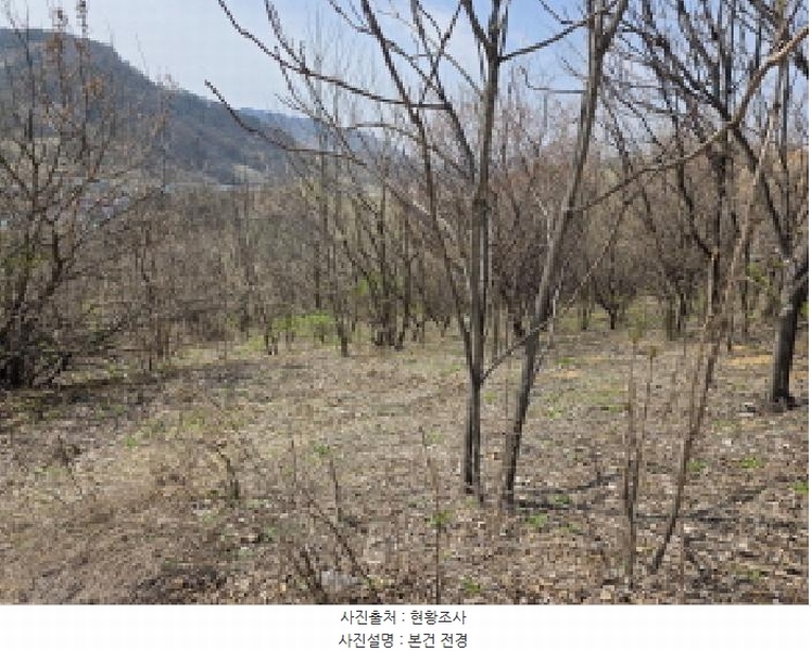 2025타경85 충청북도 제천시 덕산면 도전리 252 농지 경매 이미지