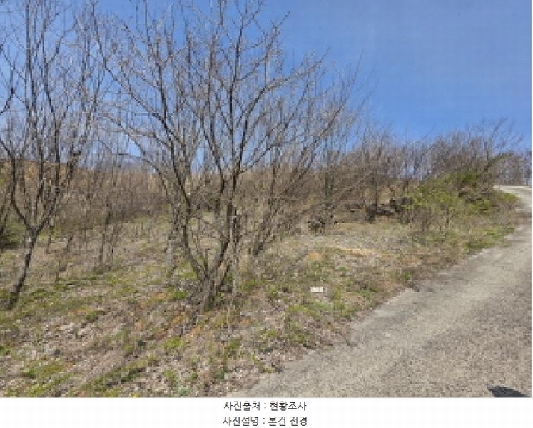 2025타경85 충청북도 제천시 덕산면 도전리 252 농지 경매 이미지