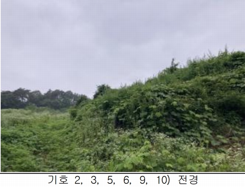 2025타경115 충청북도 제천시 송학면 시곡리 산96-4 임야 경매 이미지