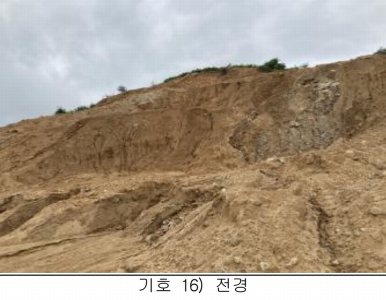 2025타경115 충청북도 제천시 송학면 시곡리 산96-4 임야 경매 이미지