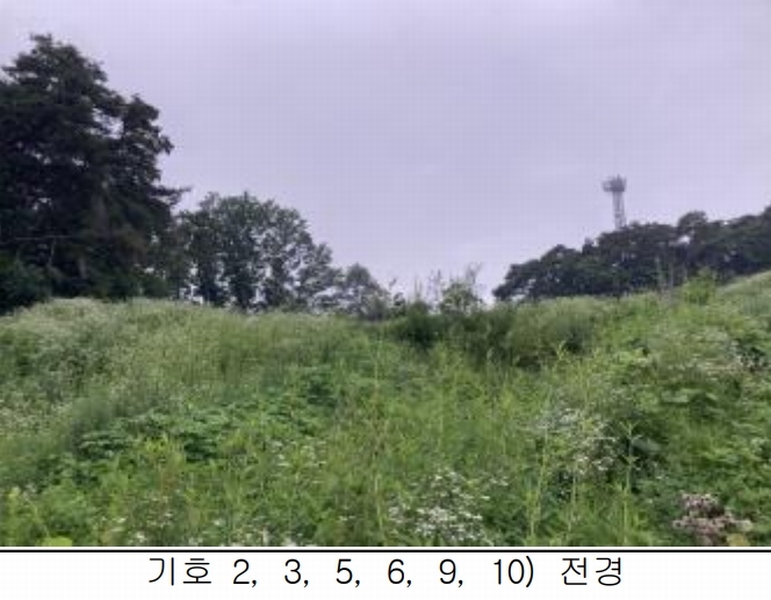2025타경115 충청북도 제천시 송학면 시곡리 산96-4 임야 경매 이미지