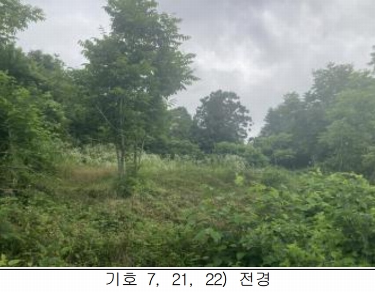 2025타경115 충청북도 제천시 송학면 시곡리 산96-4 임야 경매 이미지