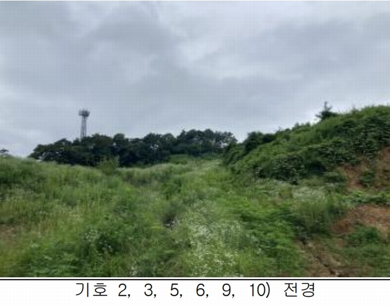 2025타경115 충청북도 제천시 송학면 시곡리 산96-4 임야 경매 이미지