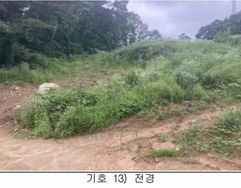2025타경115 충청북도 제천시 송학면 시곡리 산96-4 임야 경매 이미지