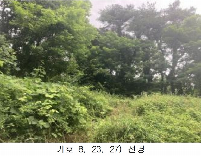 2025타경115 충청북도 제천시 송학면 시곡리 산96-4 임야 경매 이미지