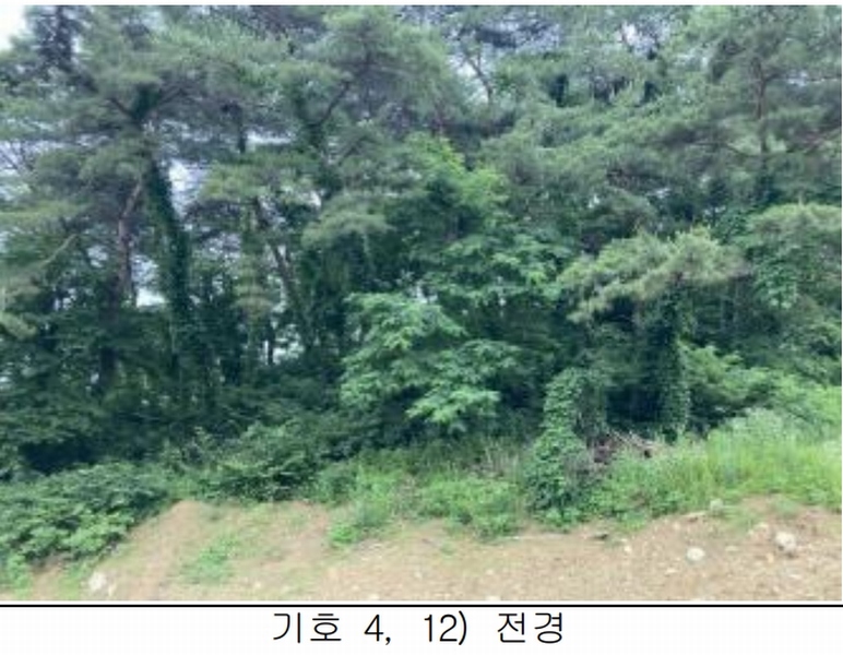 2025타경115 충청북도 제천시 송학면 시곡리 산96-4 임야 경매 이미지