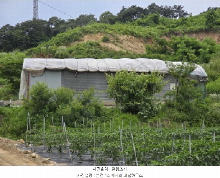 2025타경115 충청북도 제천시 송학면 시곡리 산96-4 임야 경매 이미지