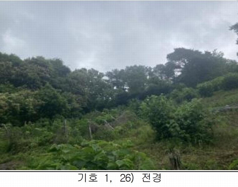 2025타경115 충청북도 제천시 송학면 시곡리 산96-4 임야 경매 이미지