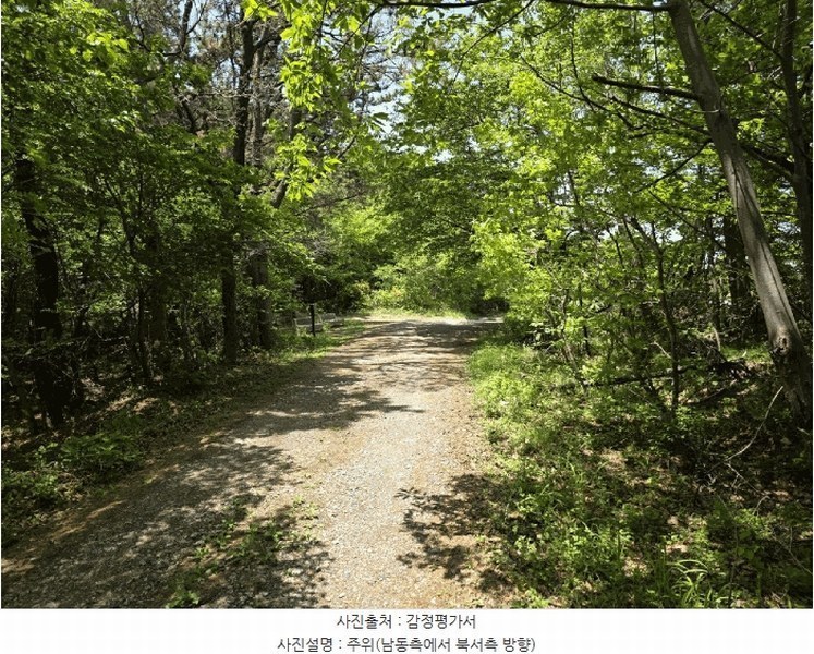 2025타경121 울산광역시 울주군 서생면 화정리 산17 임야 경매 이미지