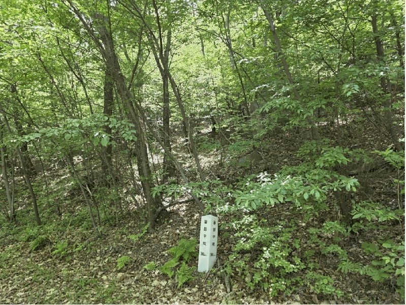 2025타경121 울산광역시 울주군 서생면 화정리 산17 임야 경매 이미지