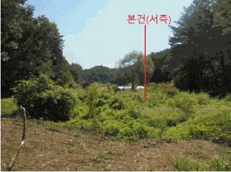 2025타경129 충청북도 제천시 봉양읍 장평리 304 농지 경매 이미지