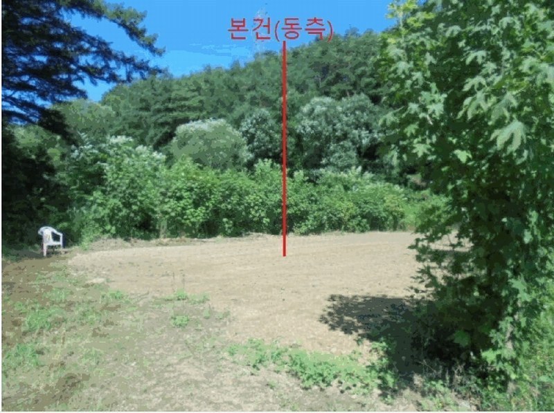 2025타경129 충청북도 제천시 봉양읍 장평리 304 농지 경매 이미지