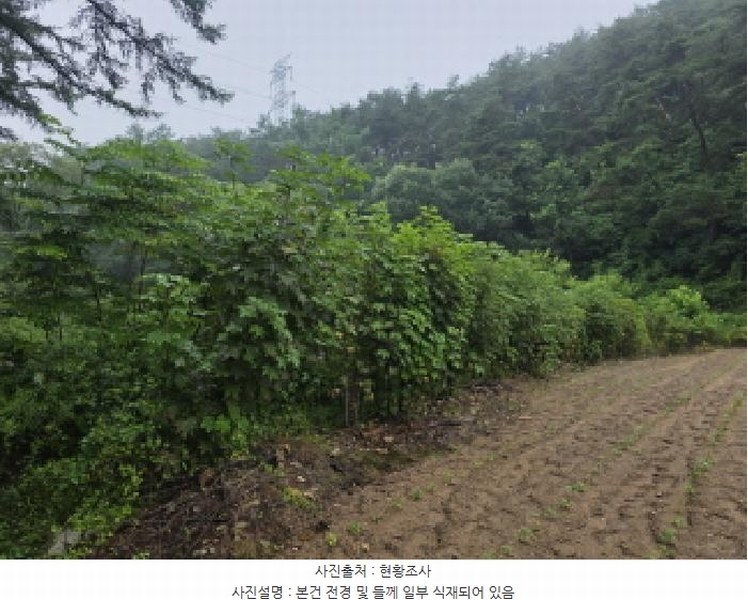 2025타경129 충청북도 제천시 봉양읍 장평리 304 농지 경매 이미지
