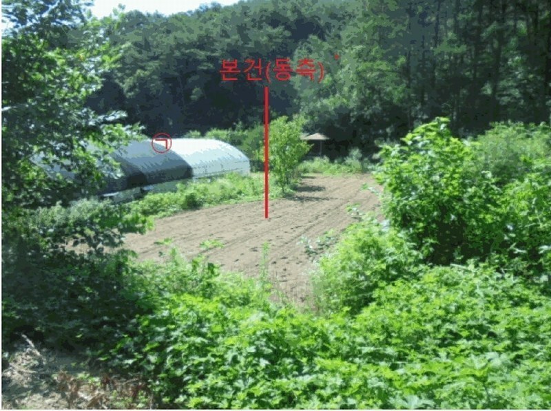 2025타경129 충청북도 제천시 봉양읍 장평리 304 농지 경매 이미지