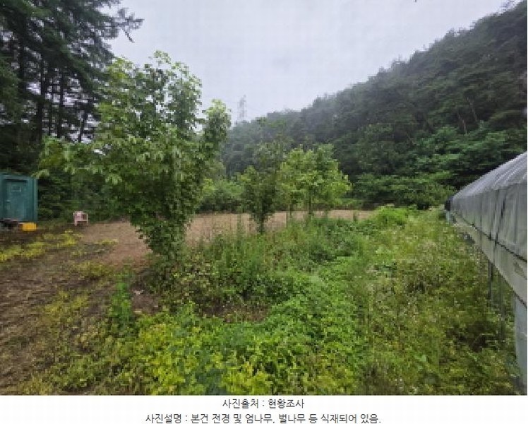 2025타경129 충청북도 제천시 봉양읍 장평리 304 농지 경매 이미지