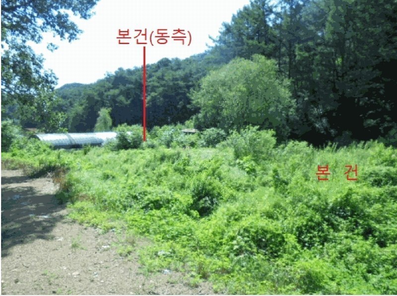 2025타경129 충청북도 제천시 봉양읍 장평리 304 농지 경매 이미지