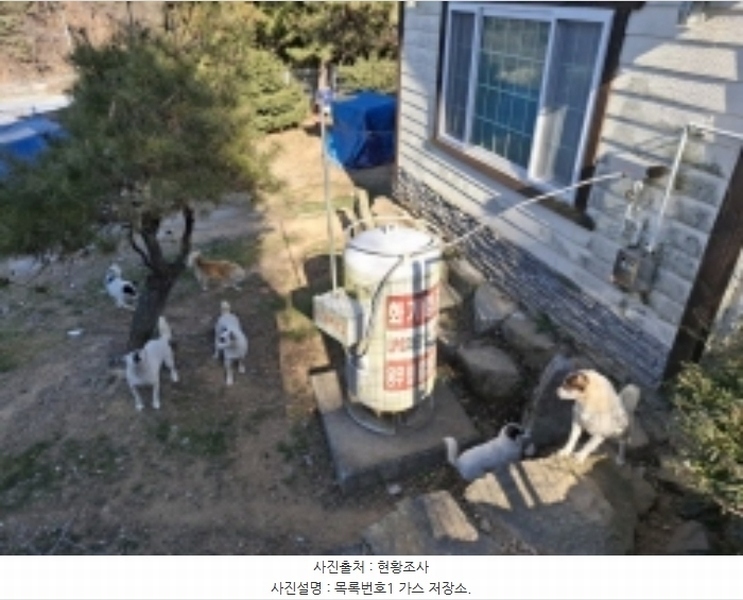 2025타경135 경상남도 남해군 남해읍 평리 774 주택 경매 이미지