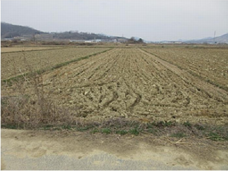 2025타경145 경상북도 예천군 풍양면 고산리 39-1 농지 경매 이미지