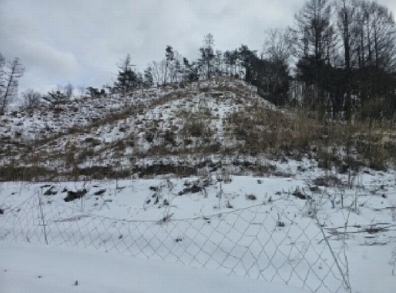 2025타경5249 충청북도 단양군 영춘면 사이곡리 산41 임야 경매 이미지