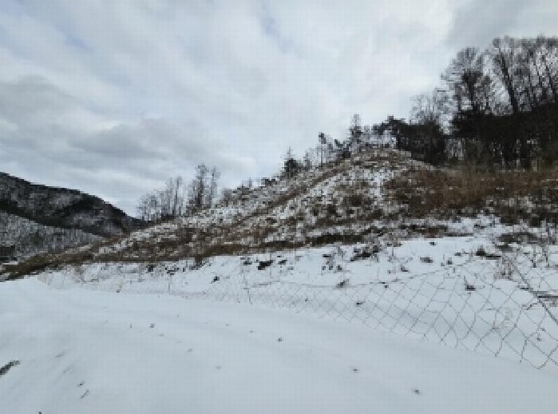 2025타경5249 충청북도 단양군 영춘면 사이곡리 산41 임야 경매 이미지